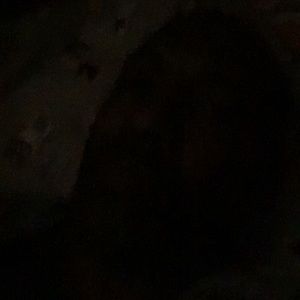 Meet your Posher, Edward